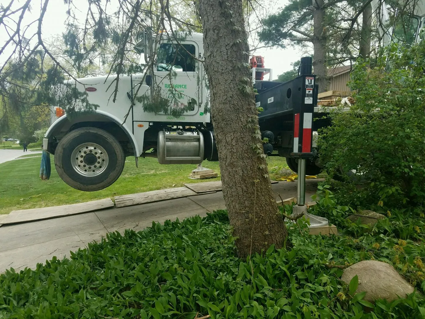 Sidonian Tree Service gallery 8