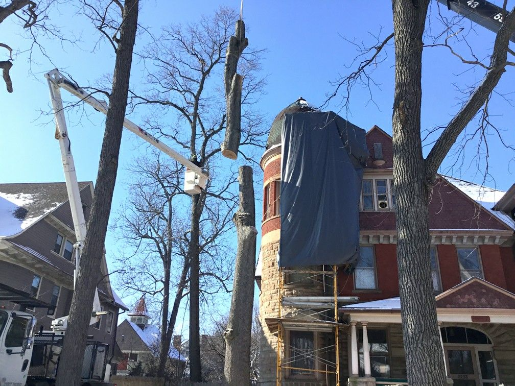 Sidonian Tree Service gallery 4