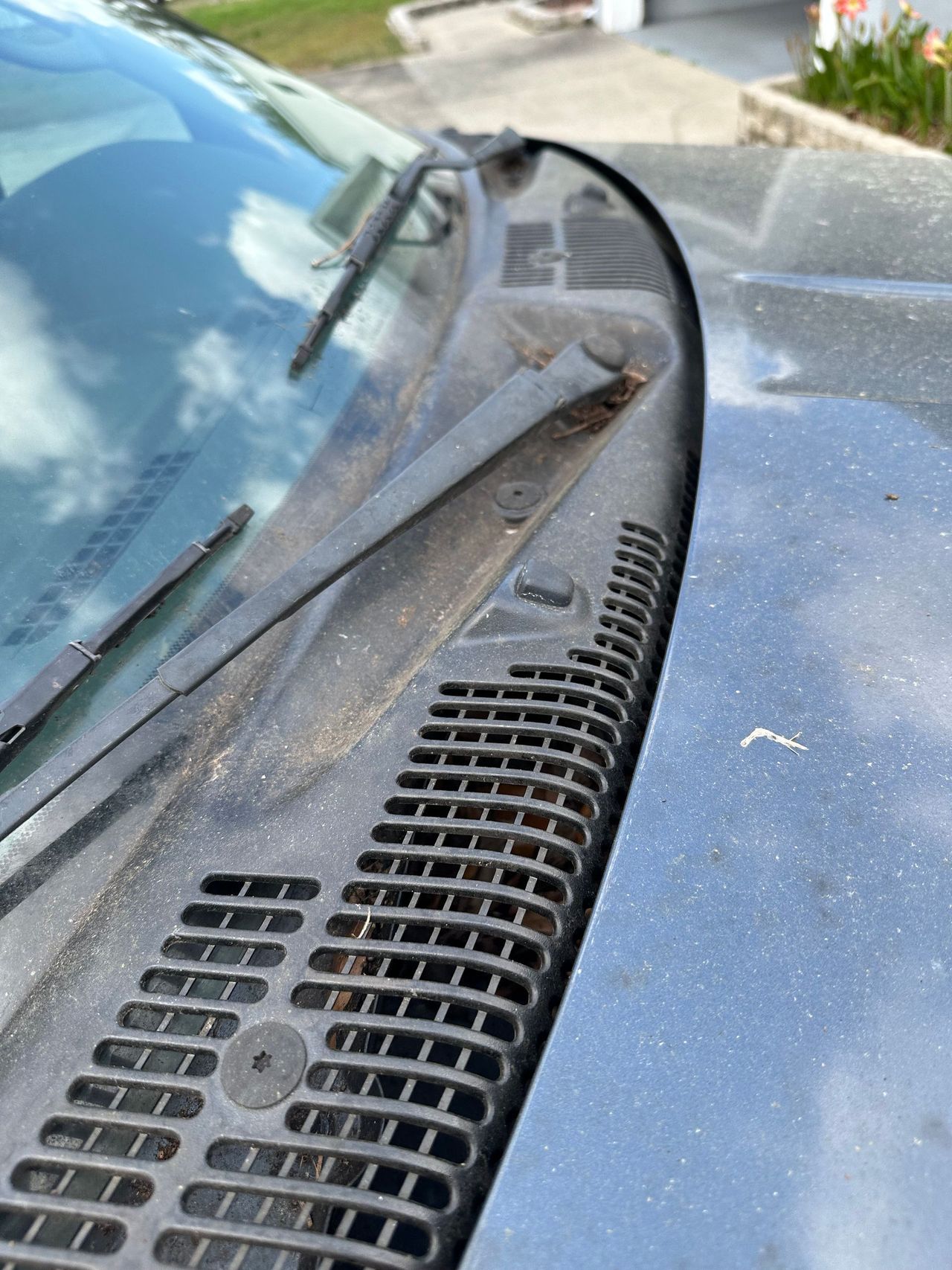 A close up of a dirty windshield and hood of a car.