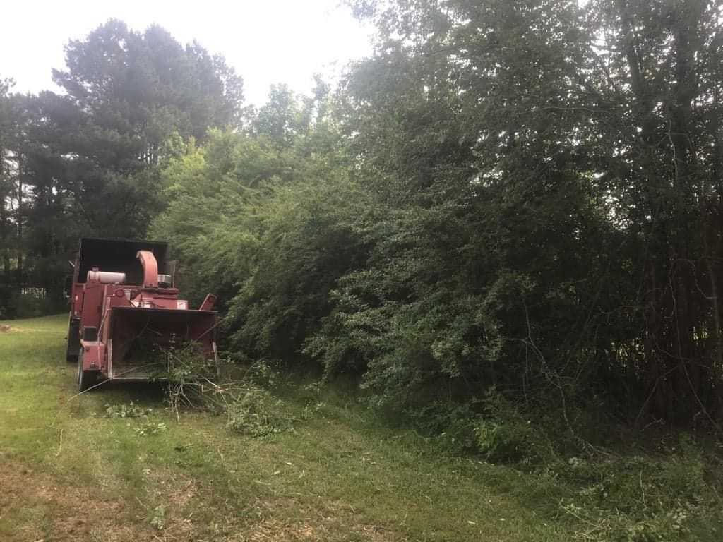 Project Gallery Paul Bunyan Tree Service