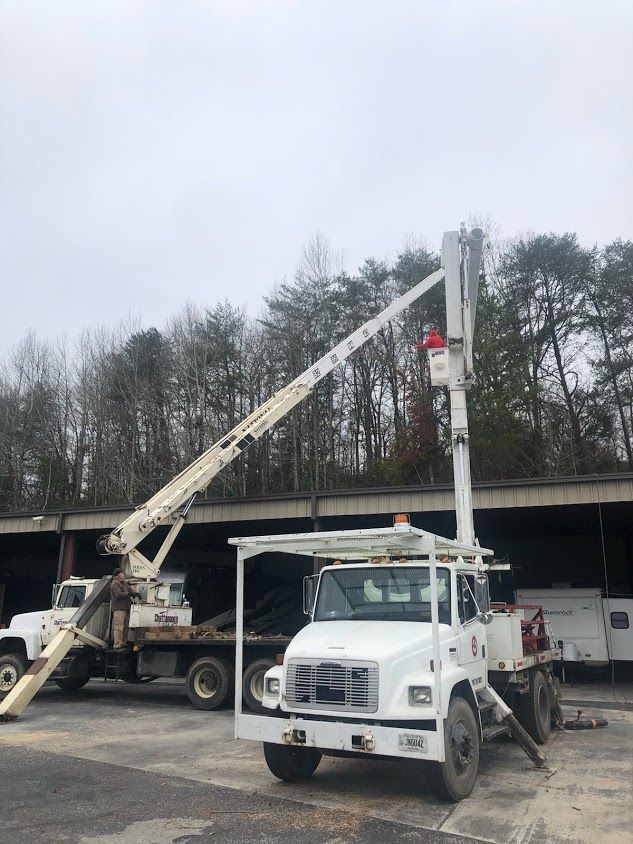 Tree Services Ooltewah, TN Paul Bunyan Tree Service