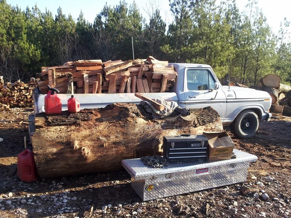 Tree Services Ooltewah, TN Paul Bunyan Tree Service