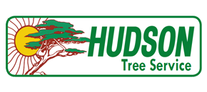 Hudson Tree Service - Logo