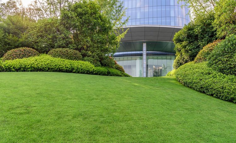 Circle G Lawn Care