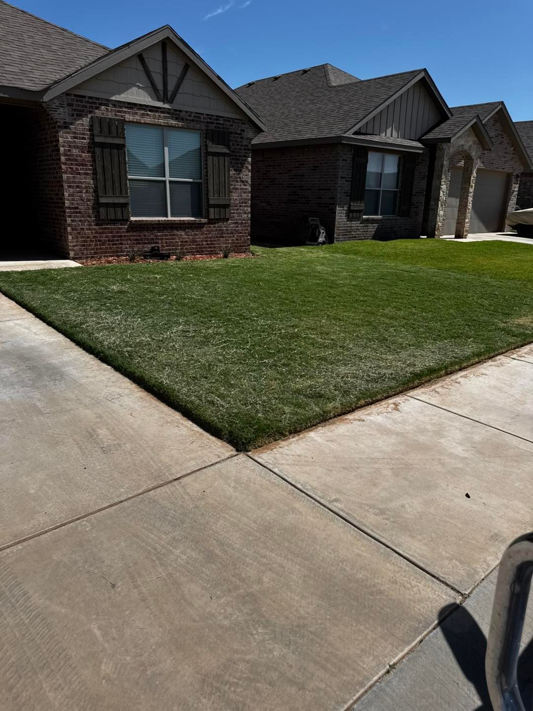 Lush green lawn in front of brick and tan houses on a sunny day. Concrete sidewalk borders the grass.