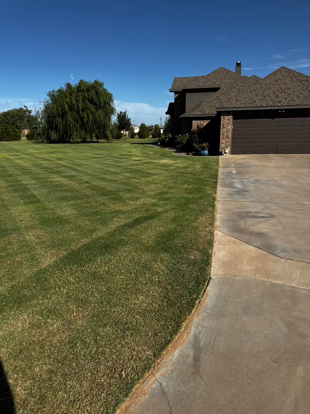 Well-maintained lawn with striped mowing pattern, next to a concrete driveway and a two-story house under a blue sky.