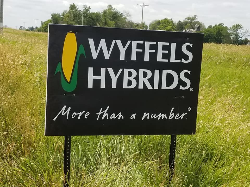 A wyffels hybrids sign in a grassy field
