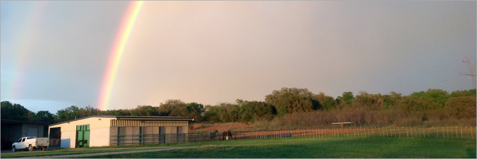 A barn and a rainbow on fields