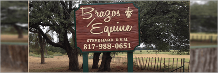 Equine Services