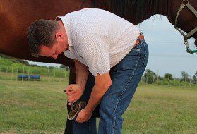 Man checking horse shoes