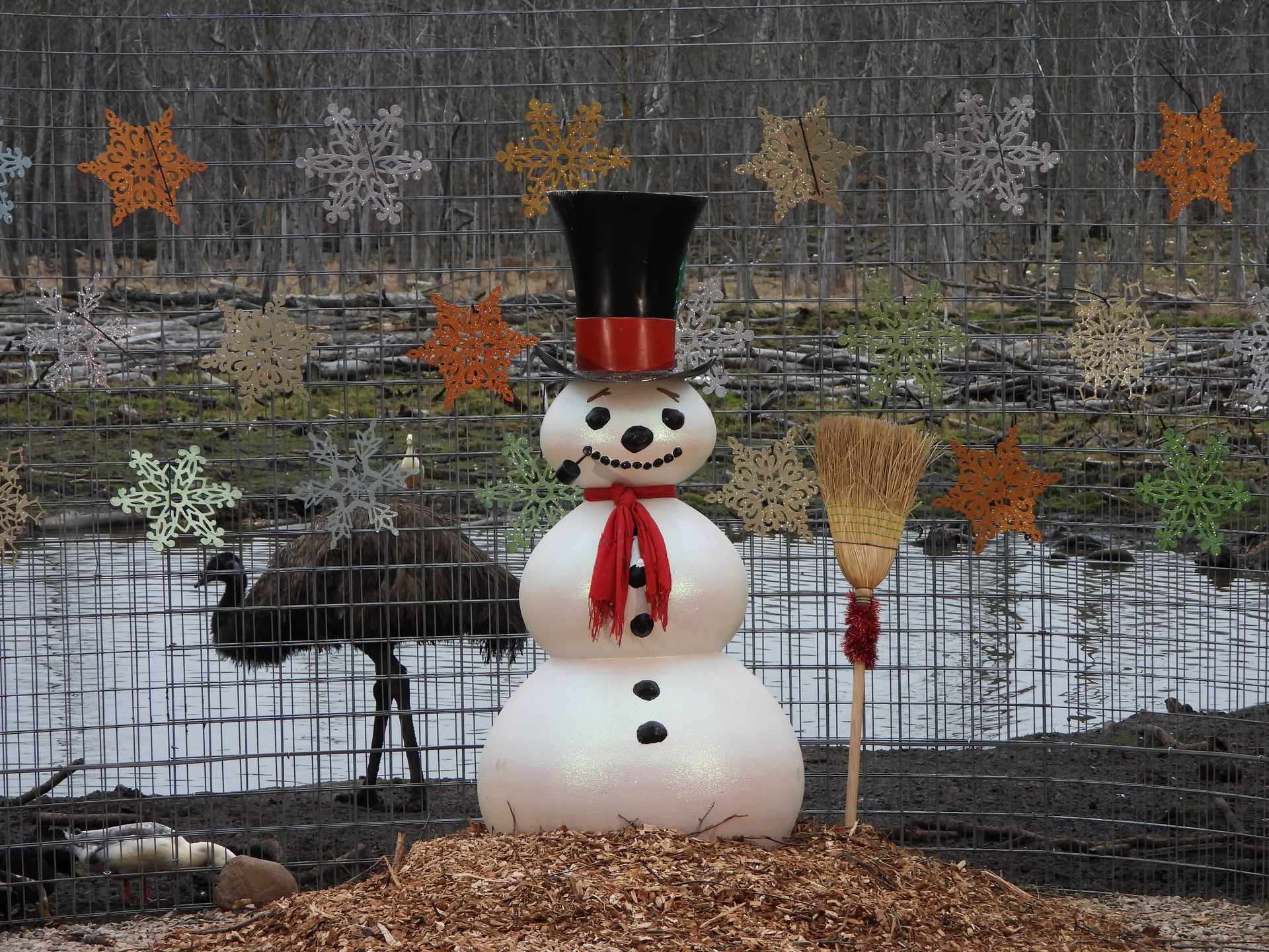 A snowman with a black hat and red scarf next to an emu in an enclosure decorated with snowflakes.