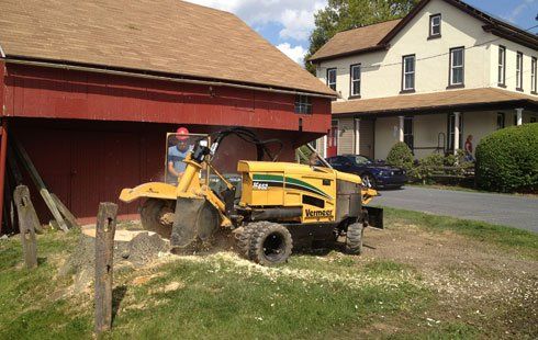 Stump removal residential area