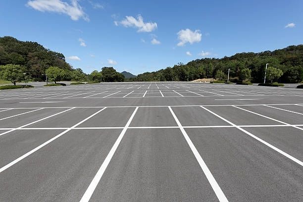 Empty parking lot with white lines under a blue sky, bordered by green trees
