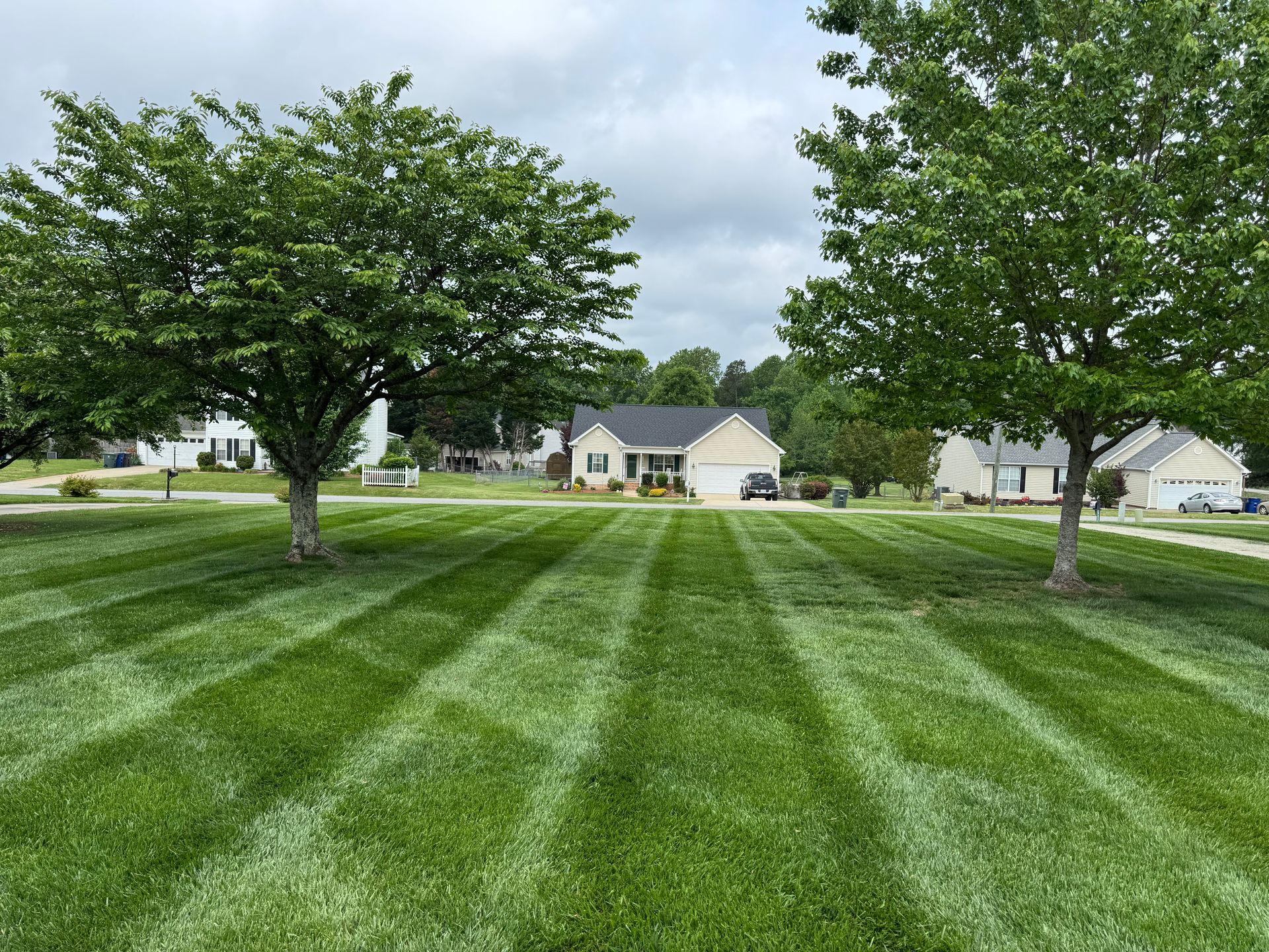 A lush green lawn with trees in the foreground and a house in the background.