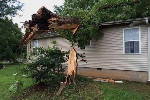A tree that has fallen on top of a house.