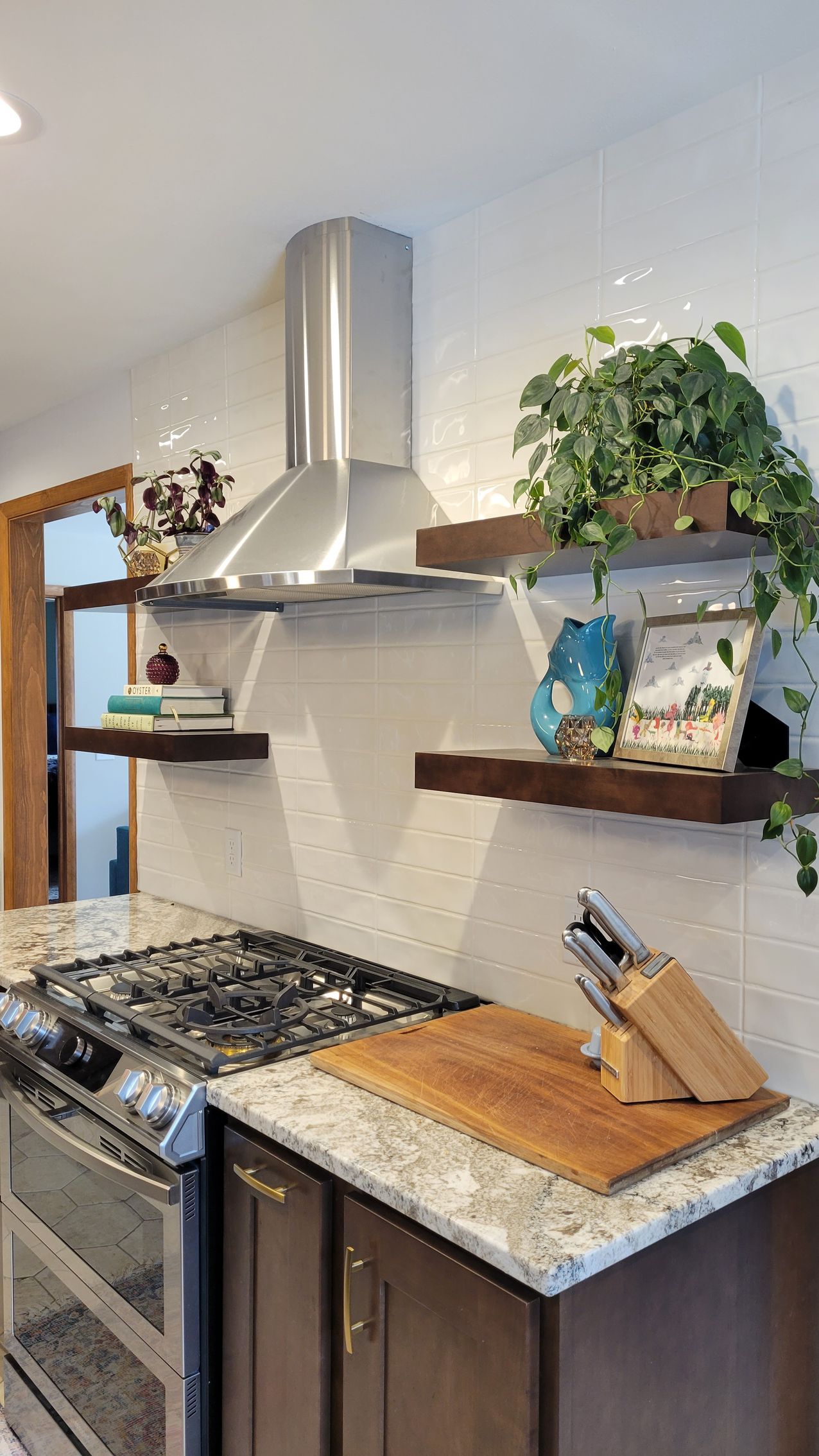 Kitchen with stainless steel range hood, floating shelves holding plants and decor, and a gas stove.