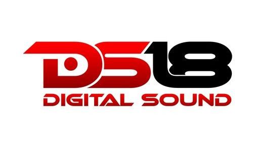 DS18