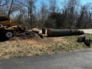 A large tree stump is being removed by a stump grinder.