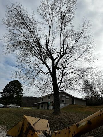 A tree with a house in the background and a tractor in the foreground.