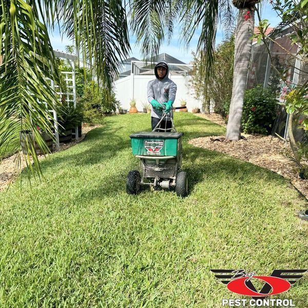 A man is spreading fertilizer on a lush green lawn.