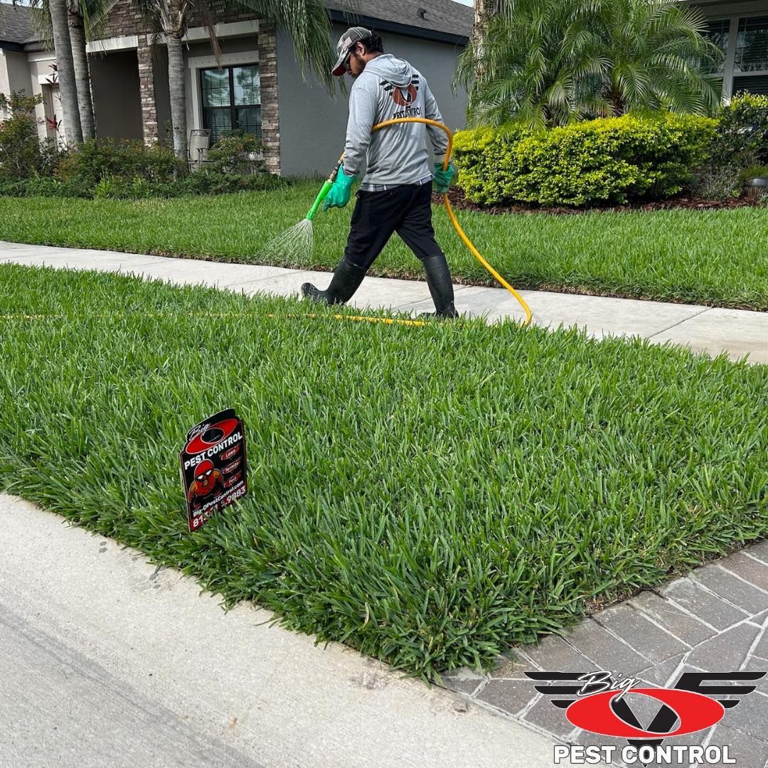 A man is spraying a lawn with a hose.