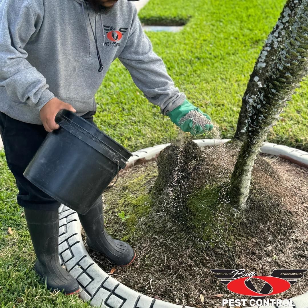 A man is fertilizing a tree with a bucket.