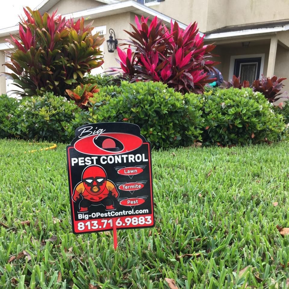 A sign for big pest control is in the grass in front of a house
