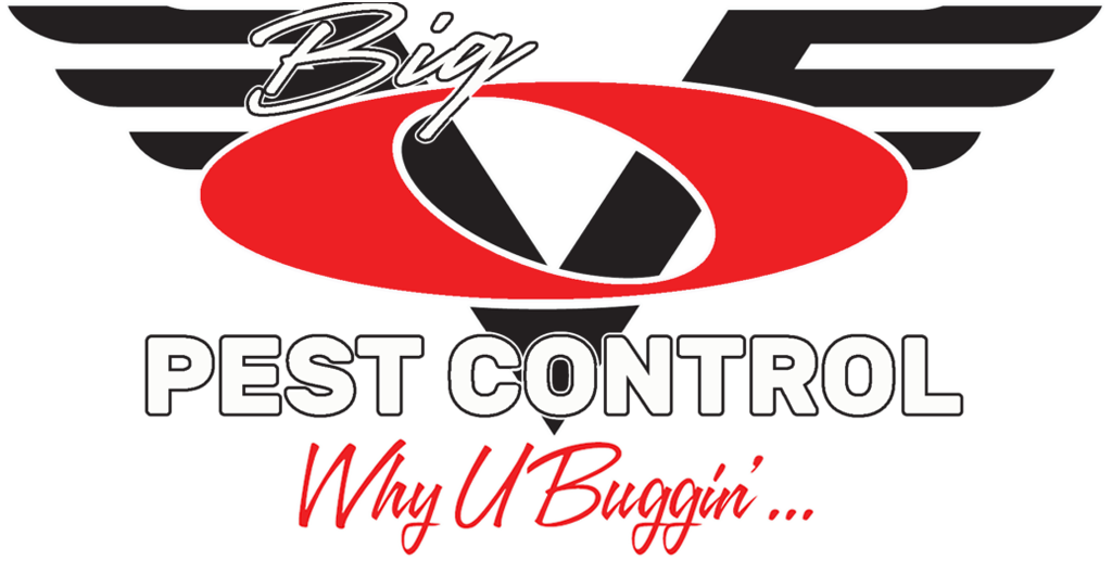 Big O Pest Control | Logo
