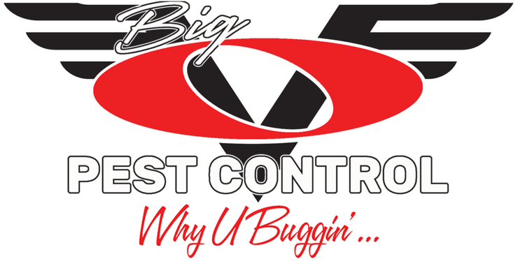 Big O Pest Control | Logo