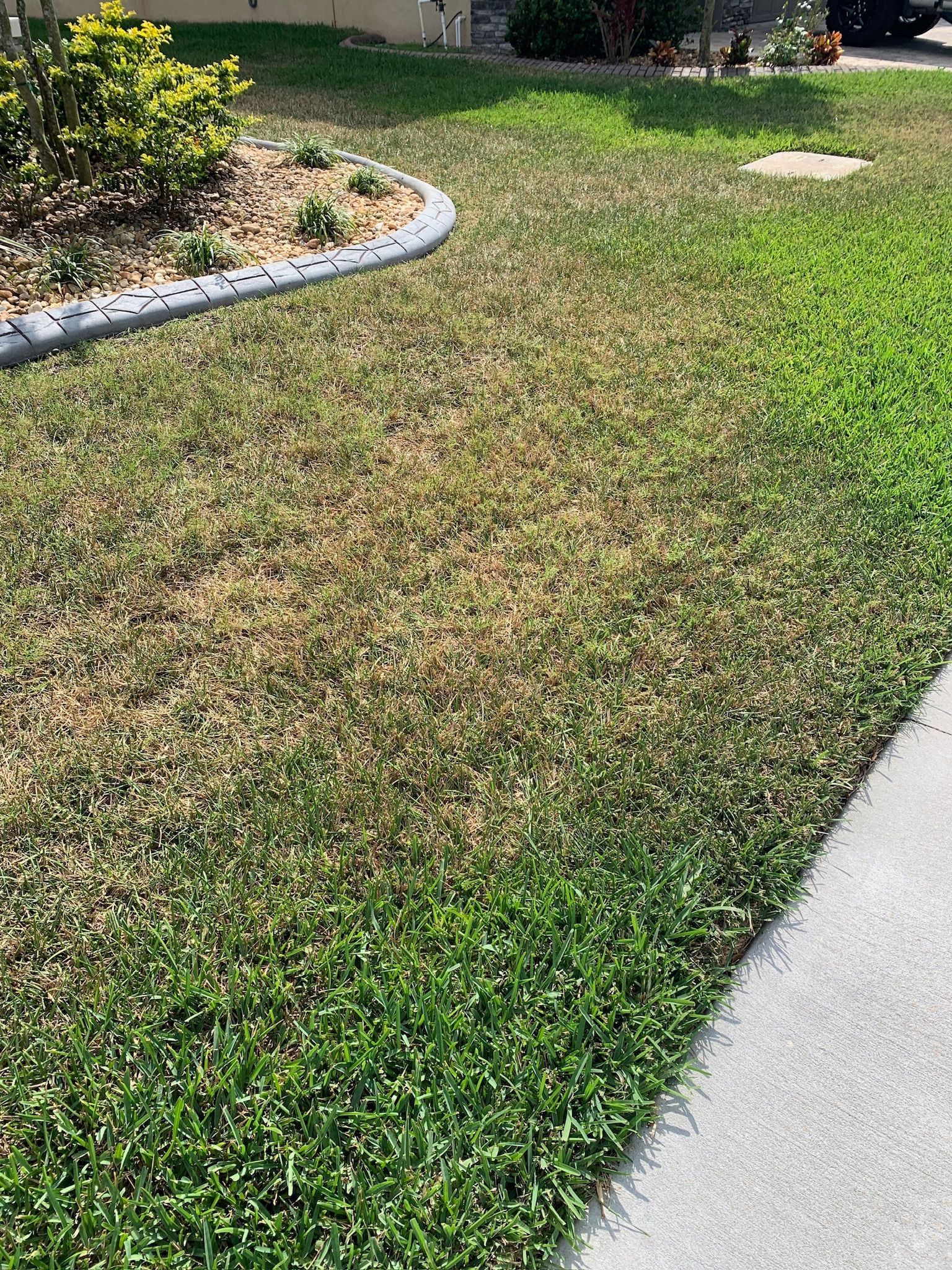 A lush green lawn next to a sidewalk and a concrete curb.