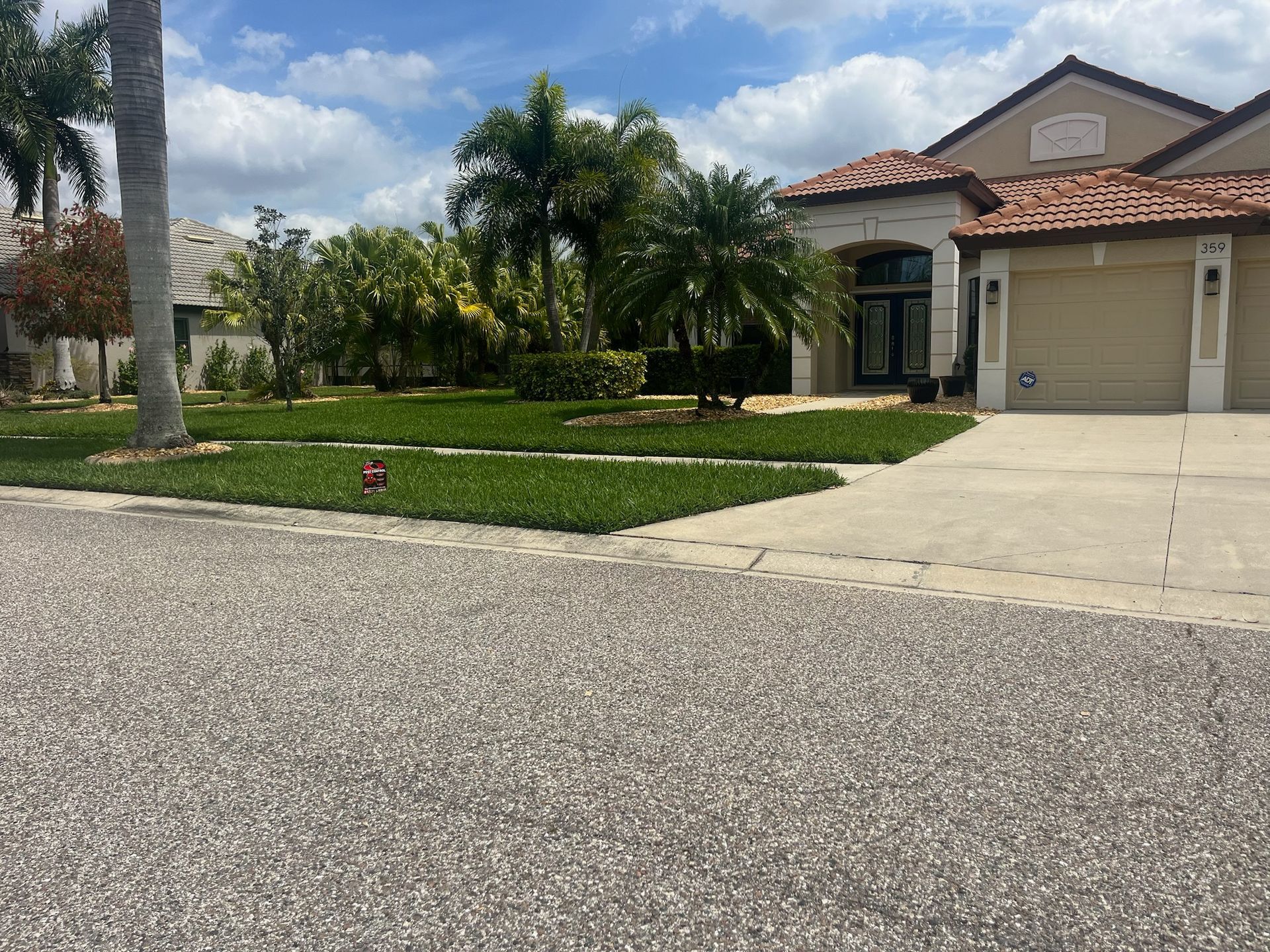 A house with a driveway and palm trees in front of it