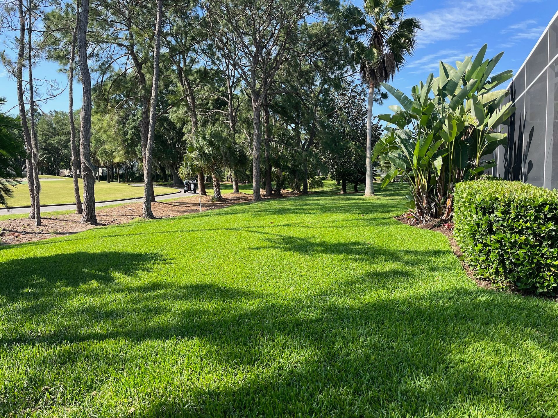 A lush green lawn with trees and bushes in the background.
