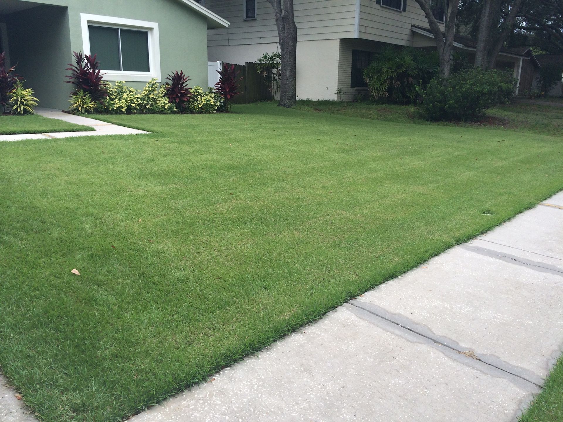 A lush green lawn with a sidewalk in front of a house