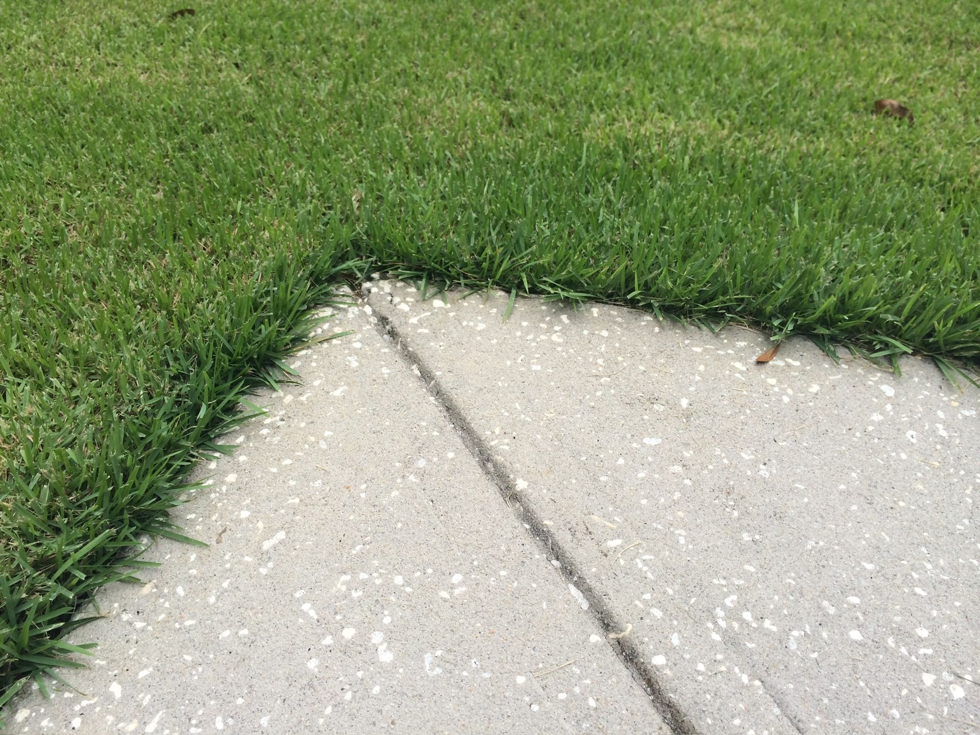 A concrete walkway surrounded by grass and hail.