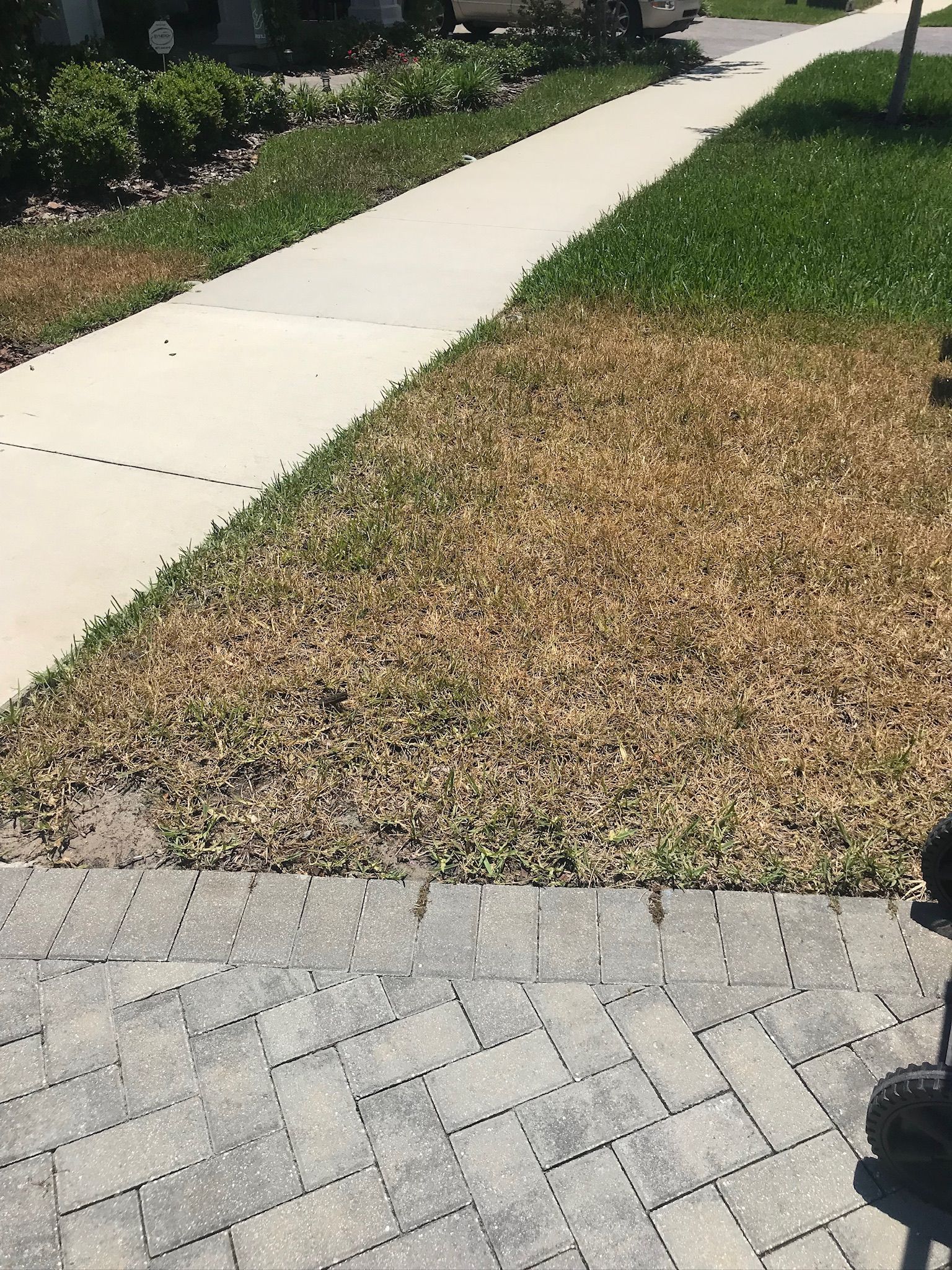 A lawn with a sidewalk and a brick walkway next to it.