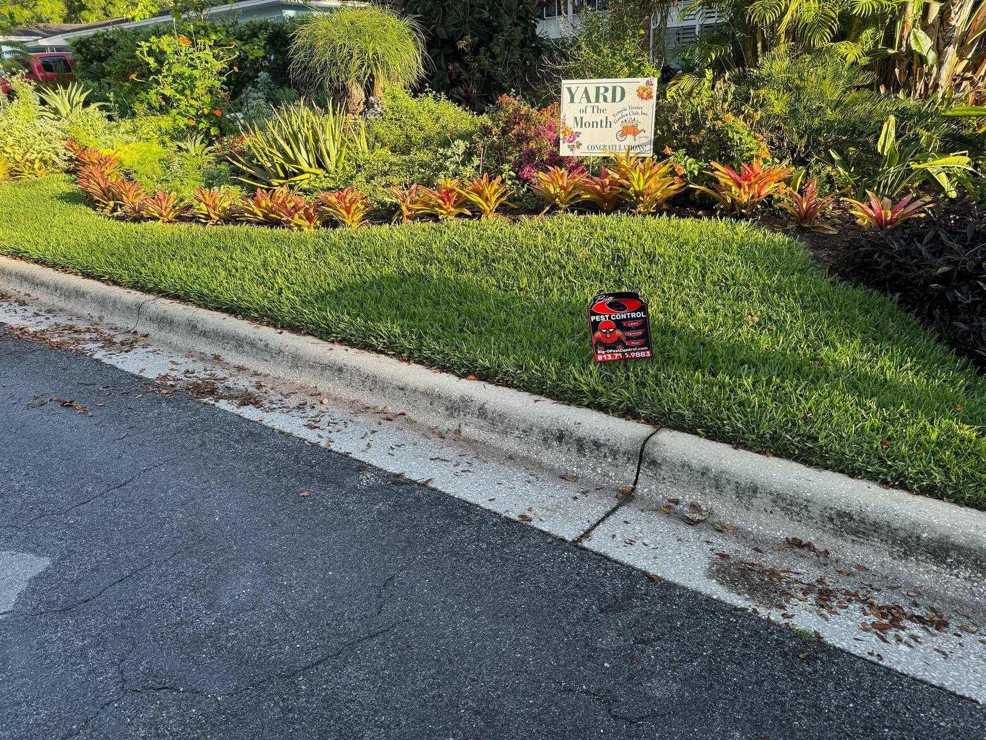 A yard sign is sitting on the side of the road next to a curb.