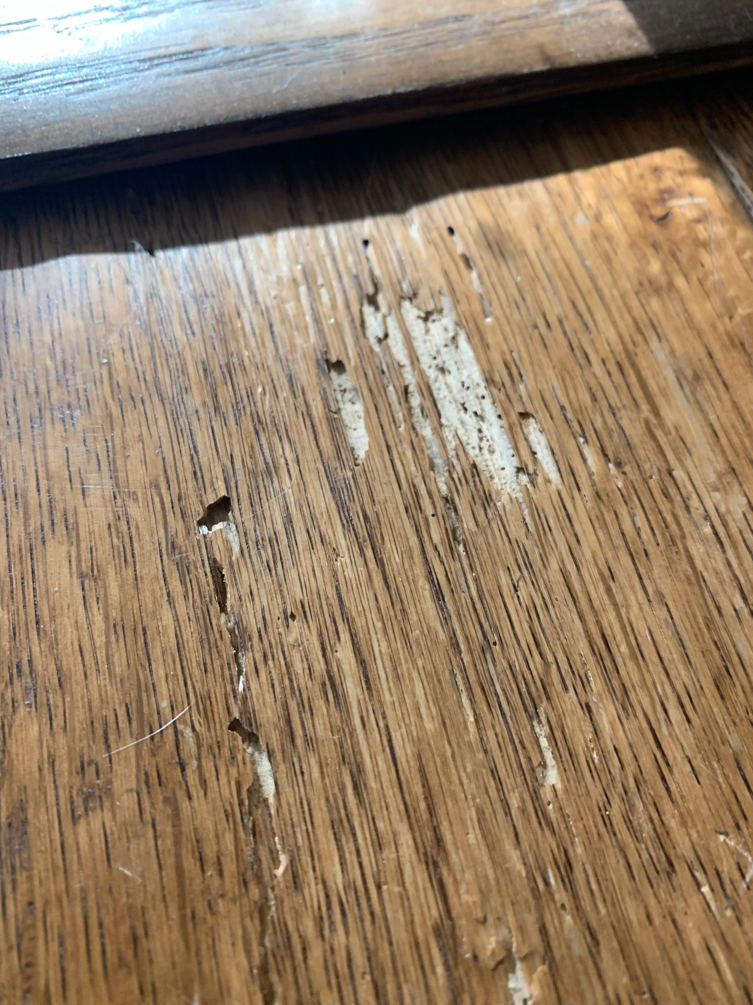 A close up of a piece of wood with a hole in it.