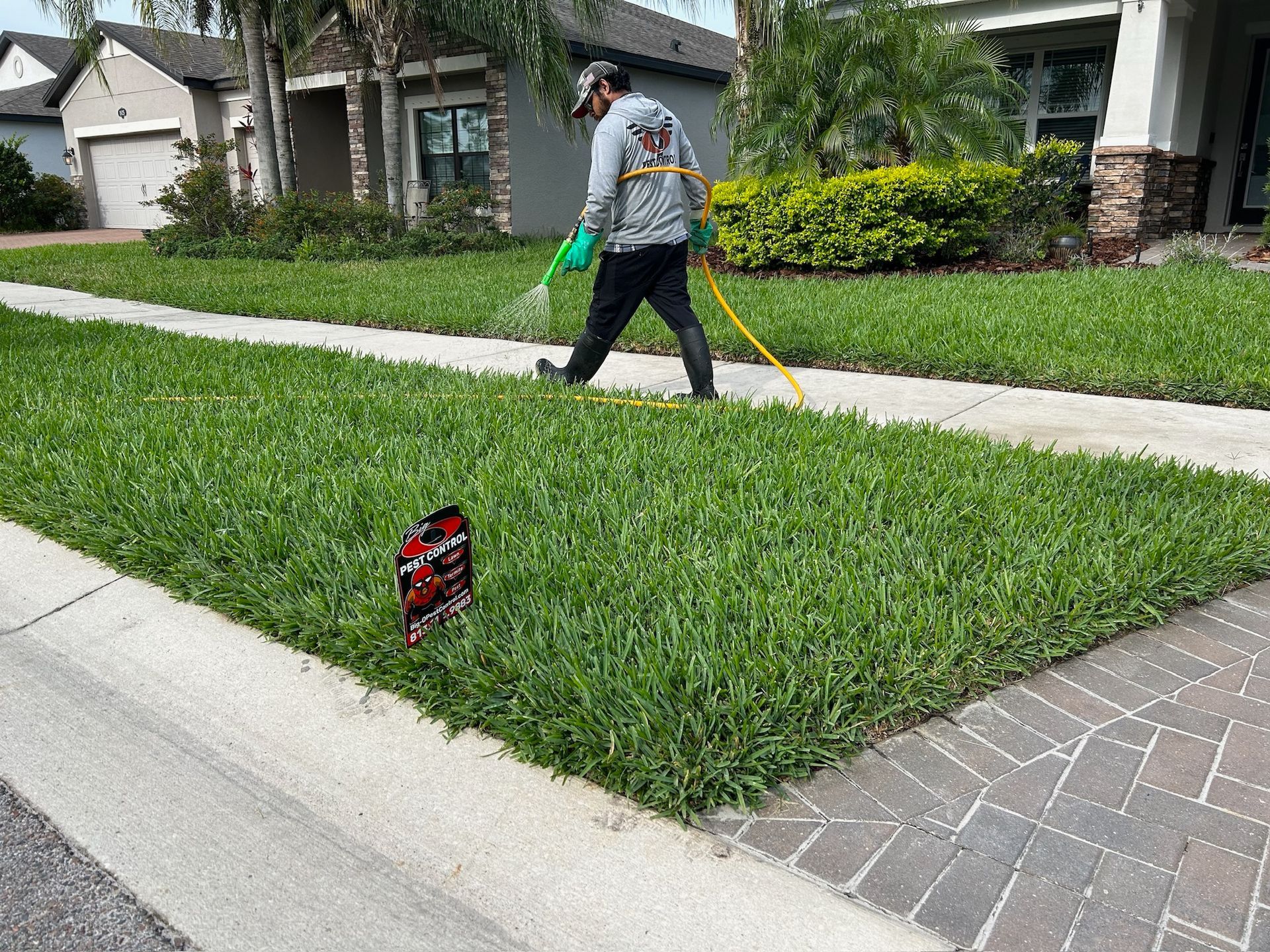 A man is spraying a lawn with a hose.