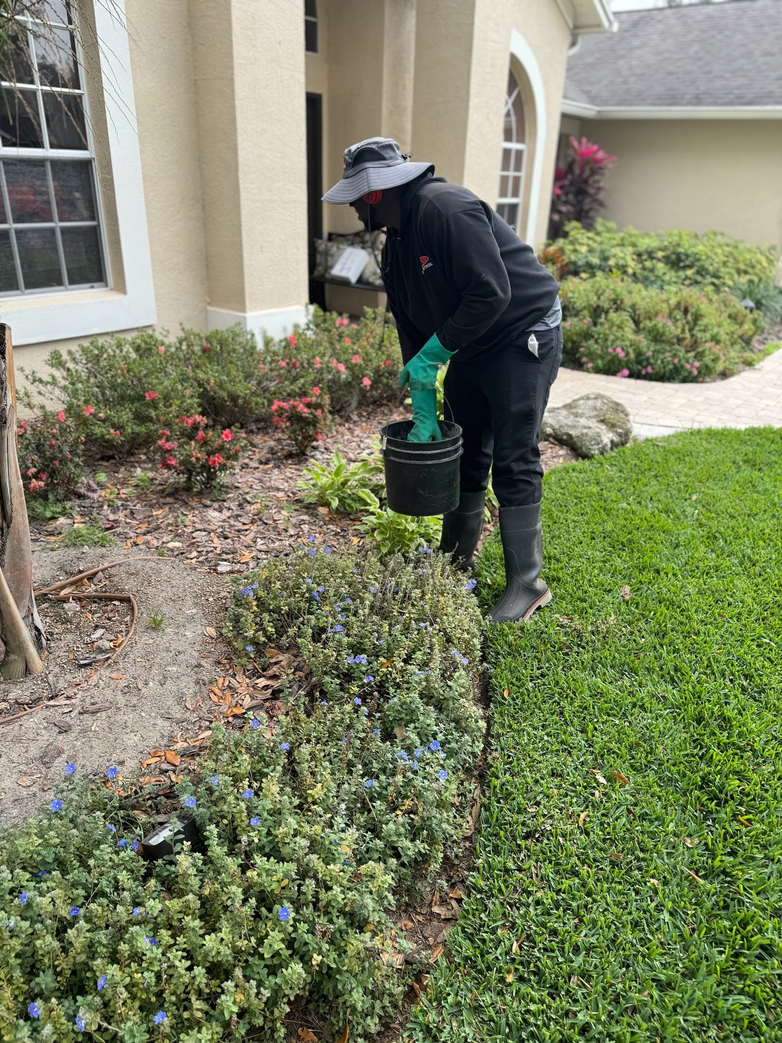 A man is spraying plants in a garden in front of a house.