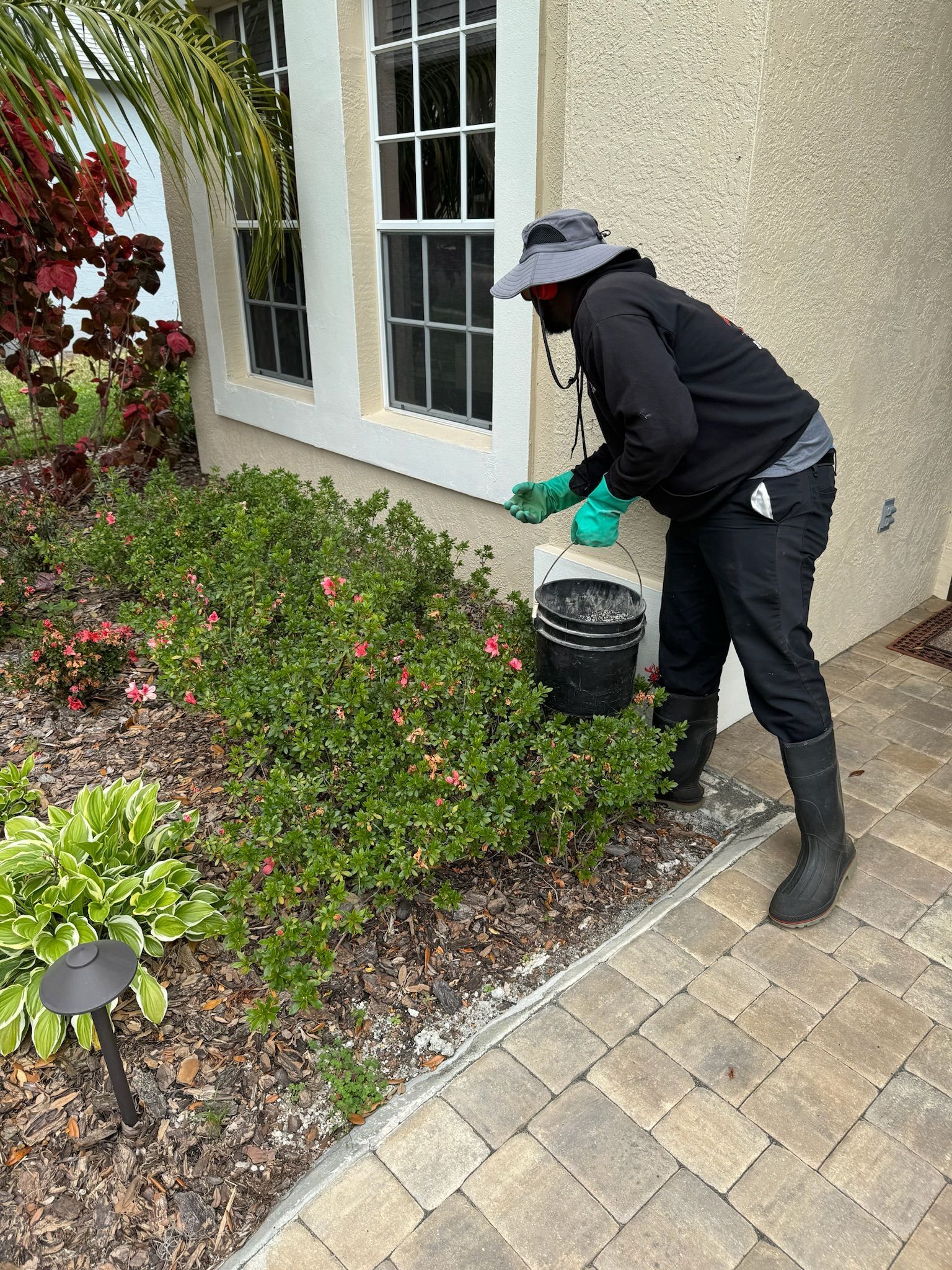 A man is spraying plants in front of a house.