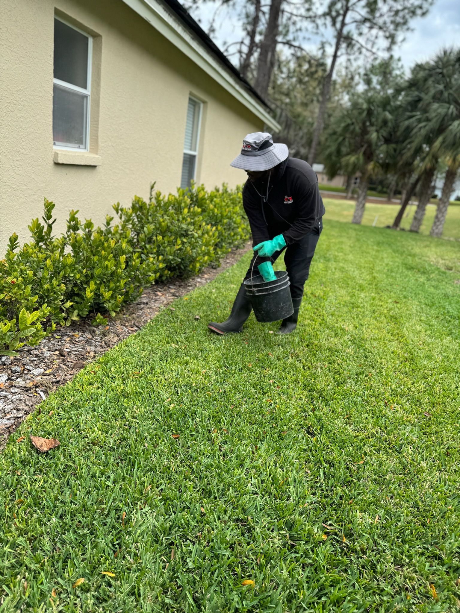 A man is spraying a lawn with a bucket in front of a house.