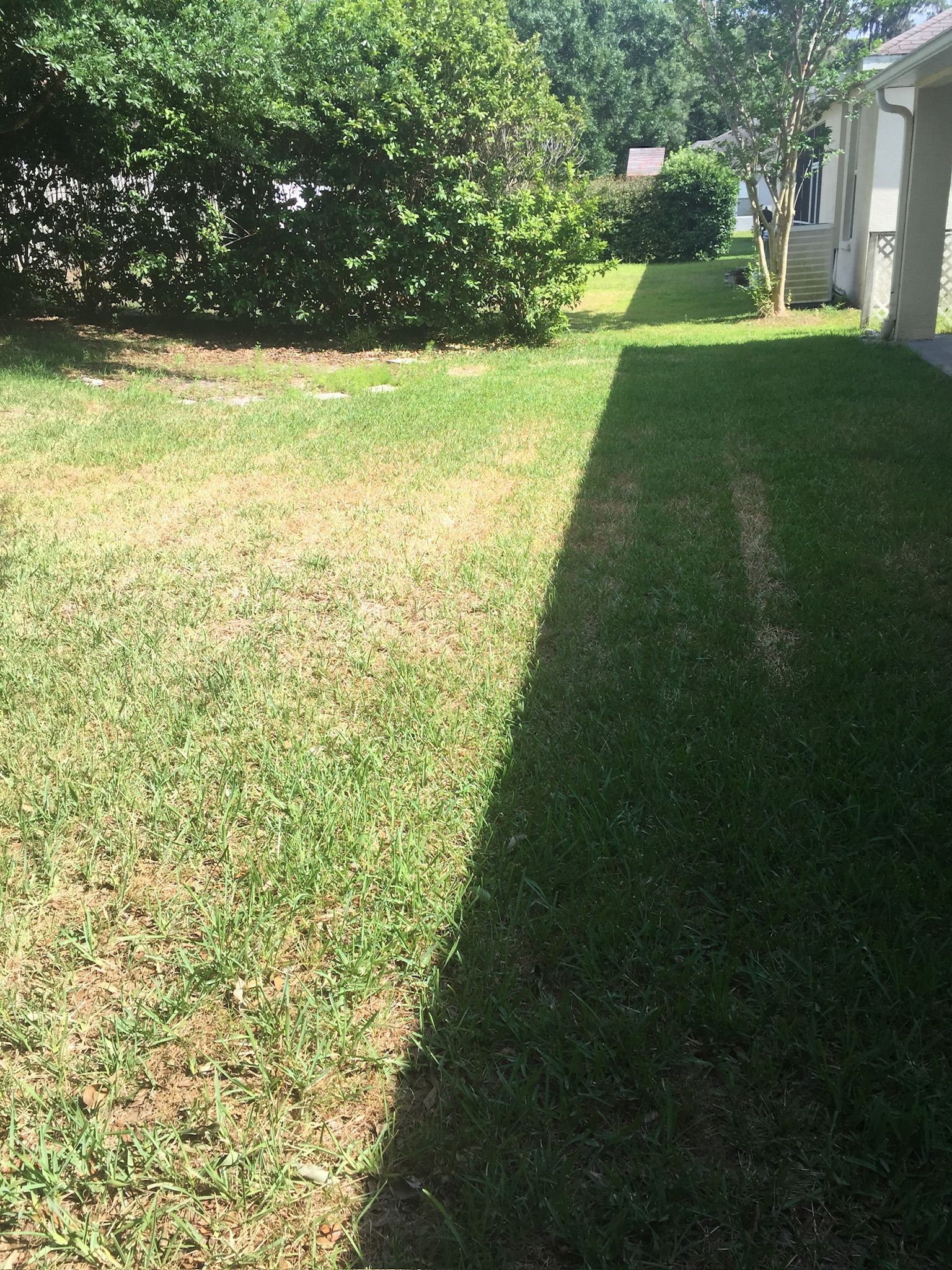 A shadow of a person is cast on a lush green lawn in front of a house.