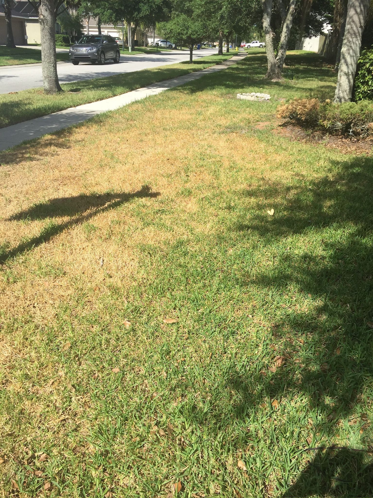 A car is driving down a street next to a lush green lawn.