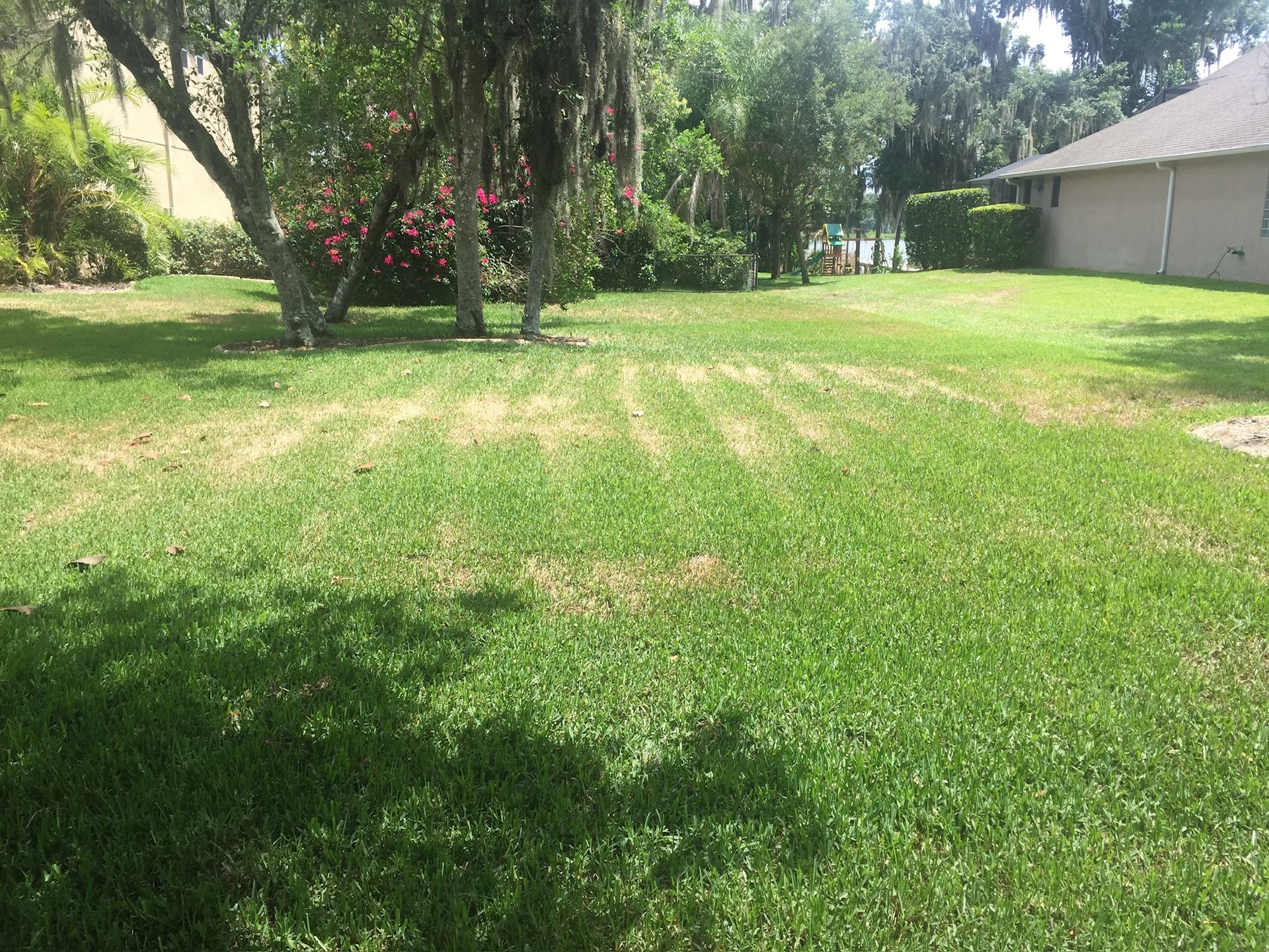 A large lush green yard with trees and a house in the background.