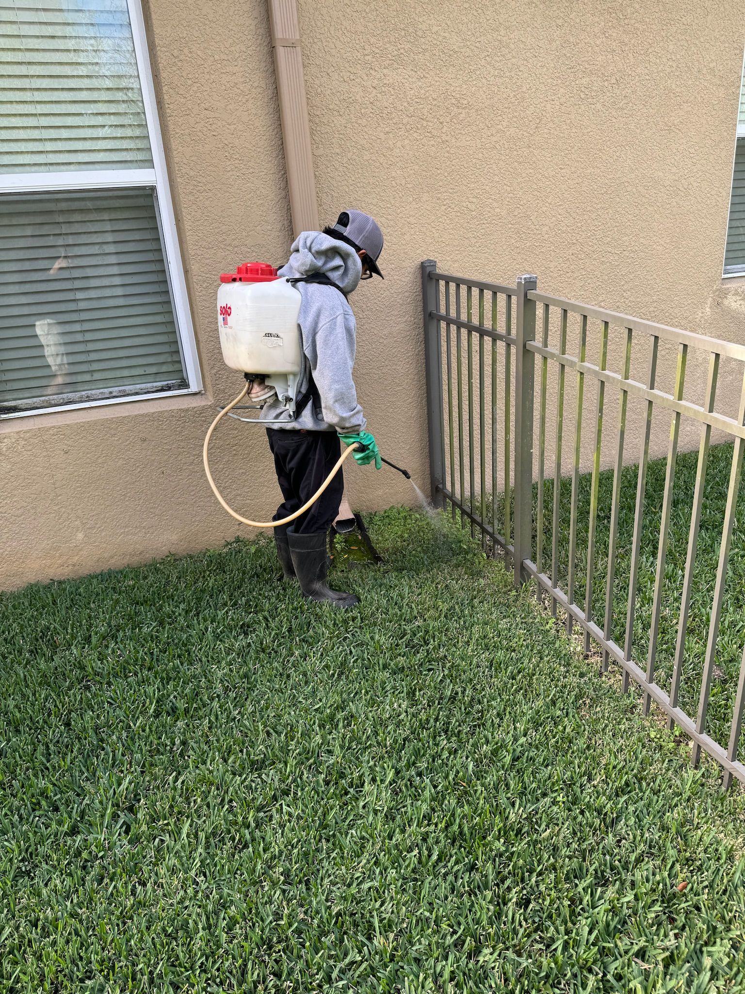 A man is spraying a lawn with a backpack sprayer.