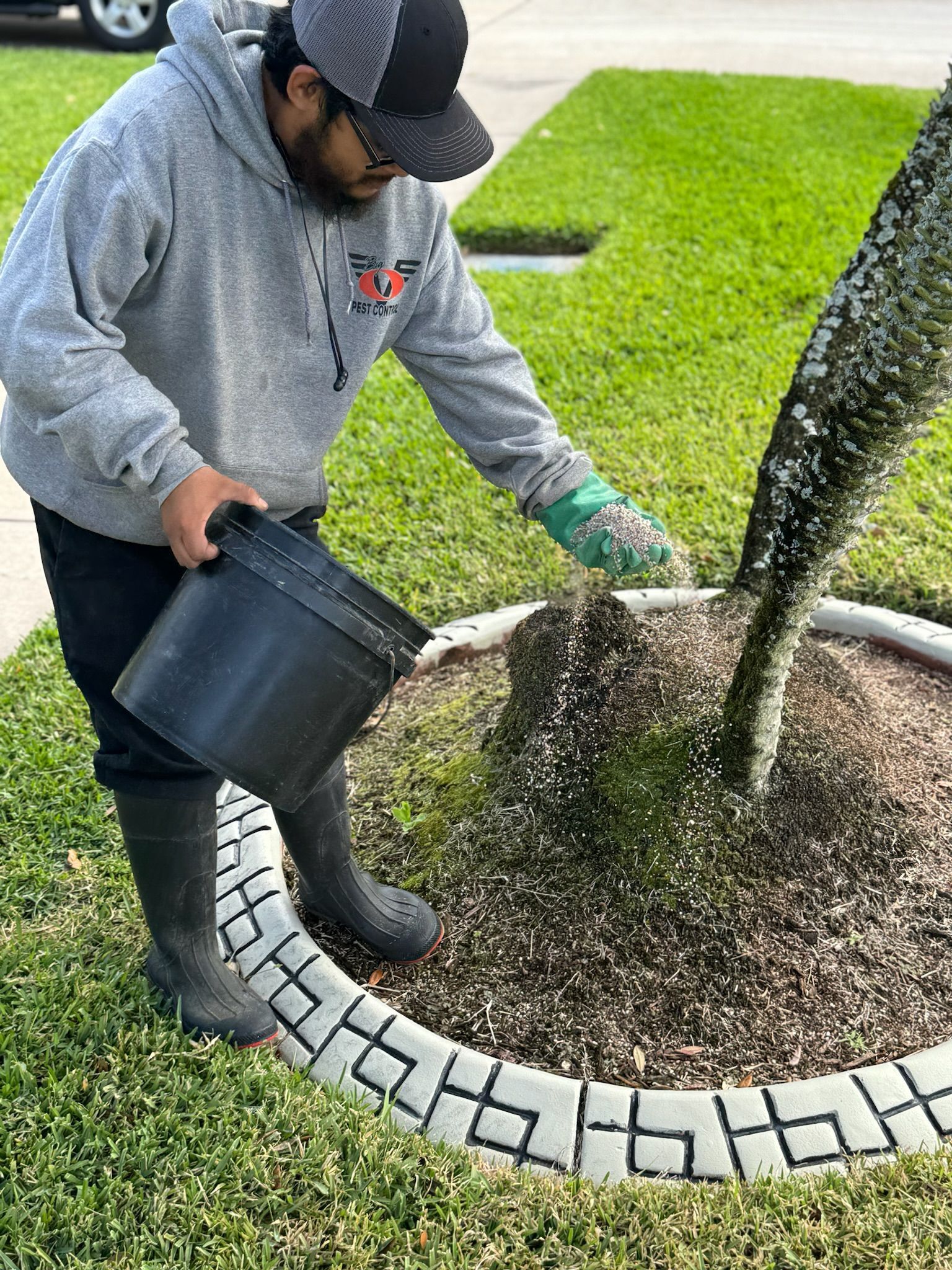 A man is pouring water into a garden with a bucket.