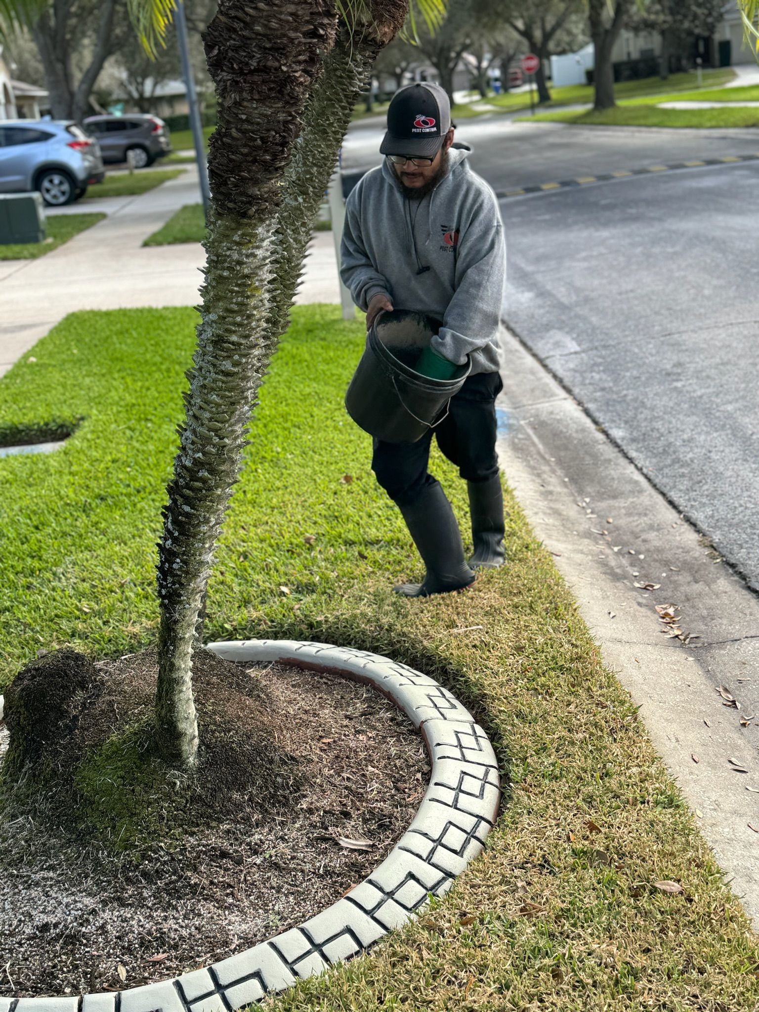 A man is watering a tree on the side of the road.