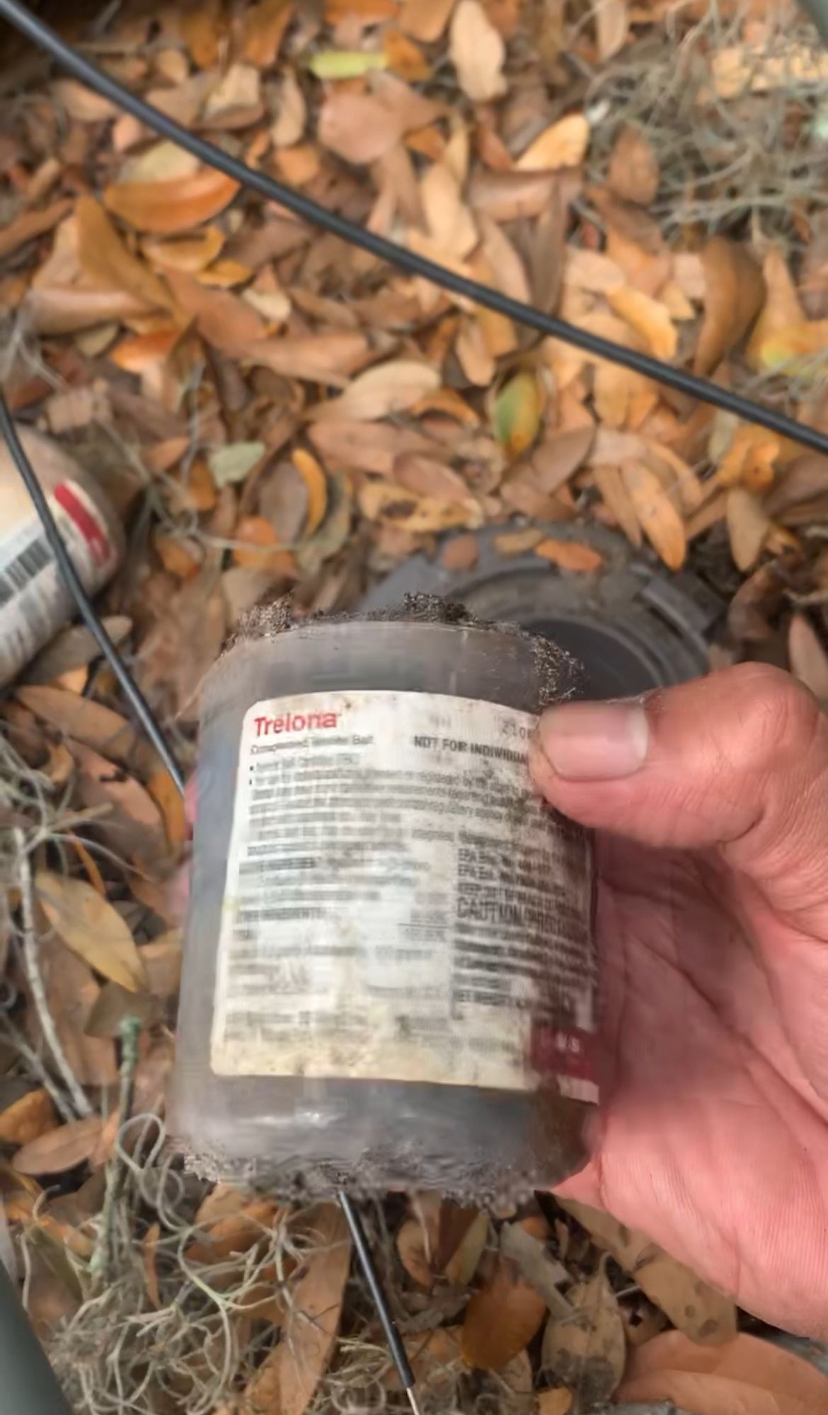 A person is holding a plastic container in their hand.