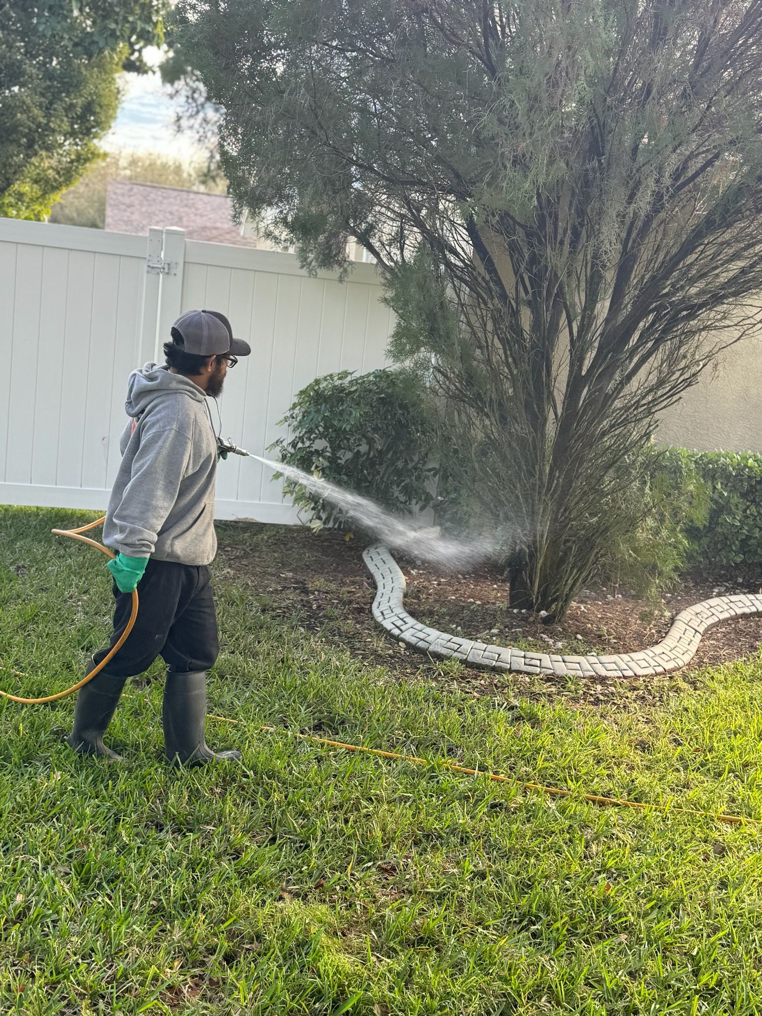 A man is spraying a tree with a hose in a yard.