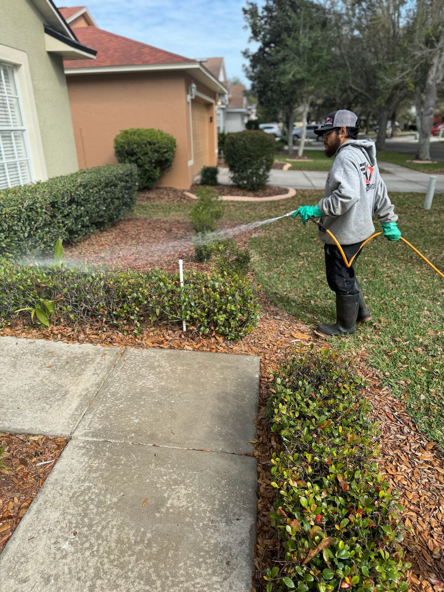 A man is spraying a lawn with a hose in front of a house.
